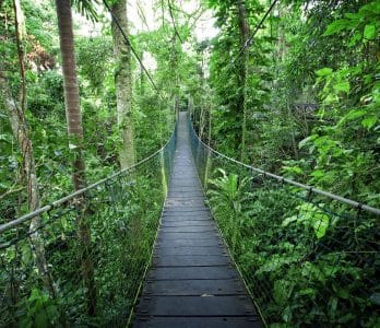 Bloomfield Wilderness Lodge_1004337-37