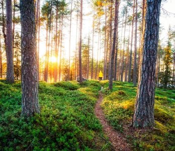 Visit_Finland_MichaelMatti-2