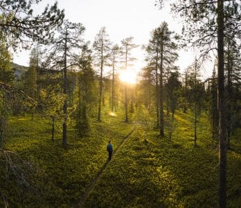 FALKE_Lehrke_Twins_Finnland_Pyha_Luosto_107-2