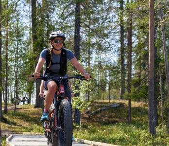 Falke – Finland_Pyha_Luosto_ 291-2