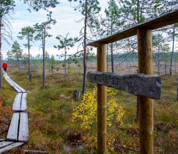 Pyha-Hakki_Nationalpark_trails_Jorma Ursin