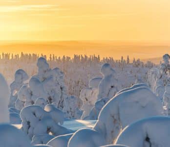 Snow_ trees_Markus_Kiili_20160201-_DSC6284-2