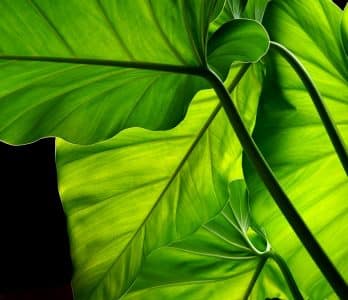 MTPA-SCENERIES-NATURE-004