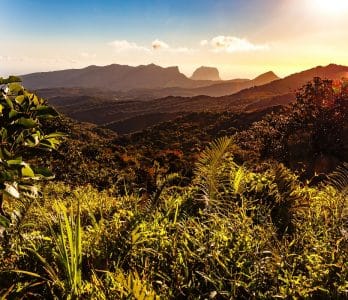 MTPA-SCENERIES-NATURE-009