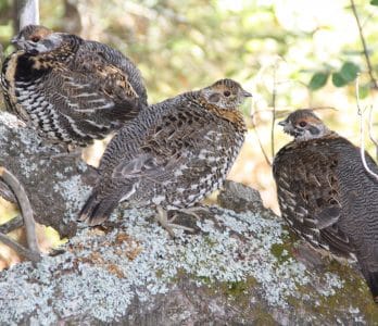 2016-05-26 22-30 Kopie von IMG_2822